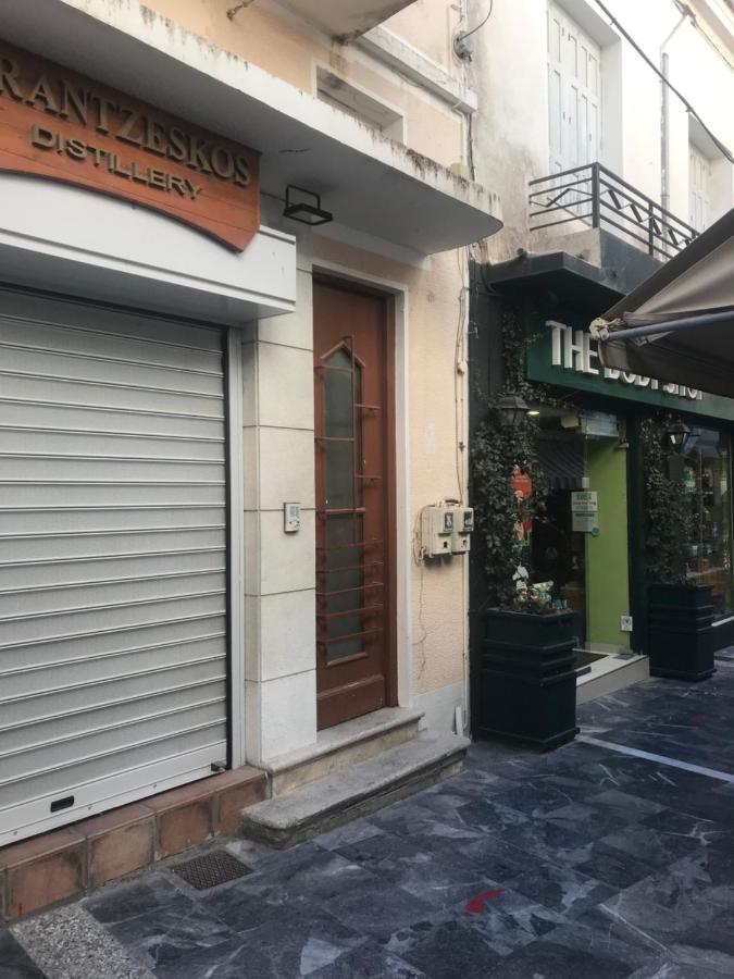 Ferienwohnung Plateia Sea View Loft Samos Town Exterior foto